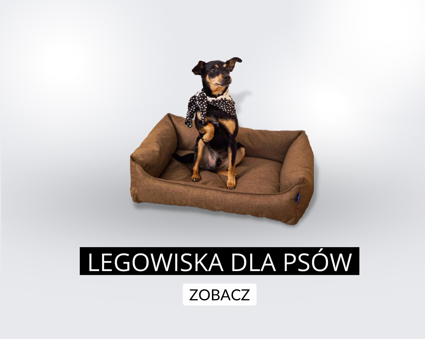 Legowiska dla psów